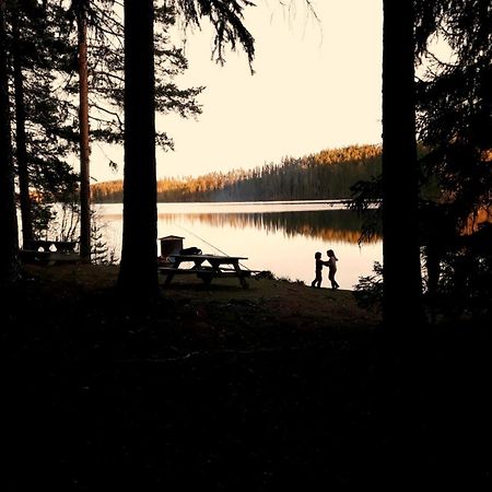Cozy Stuga - Mountain View Ramsele المظهر الخارجي الصورة