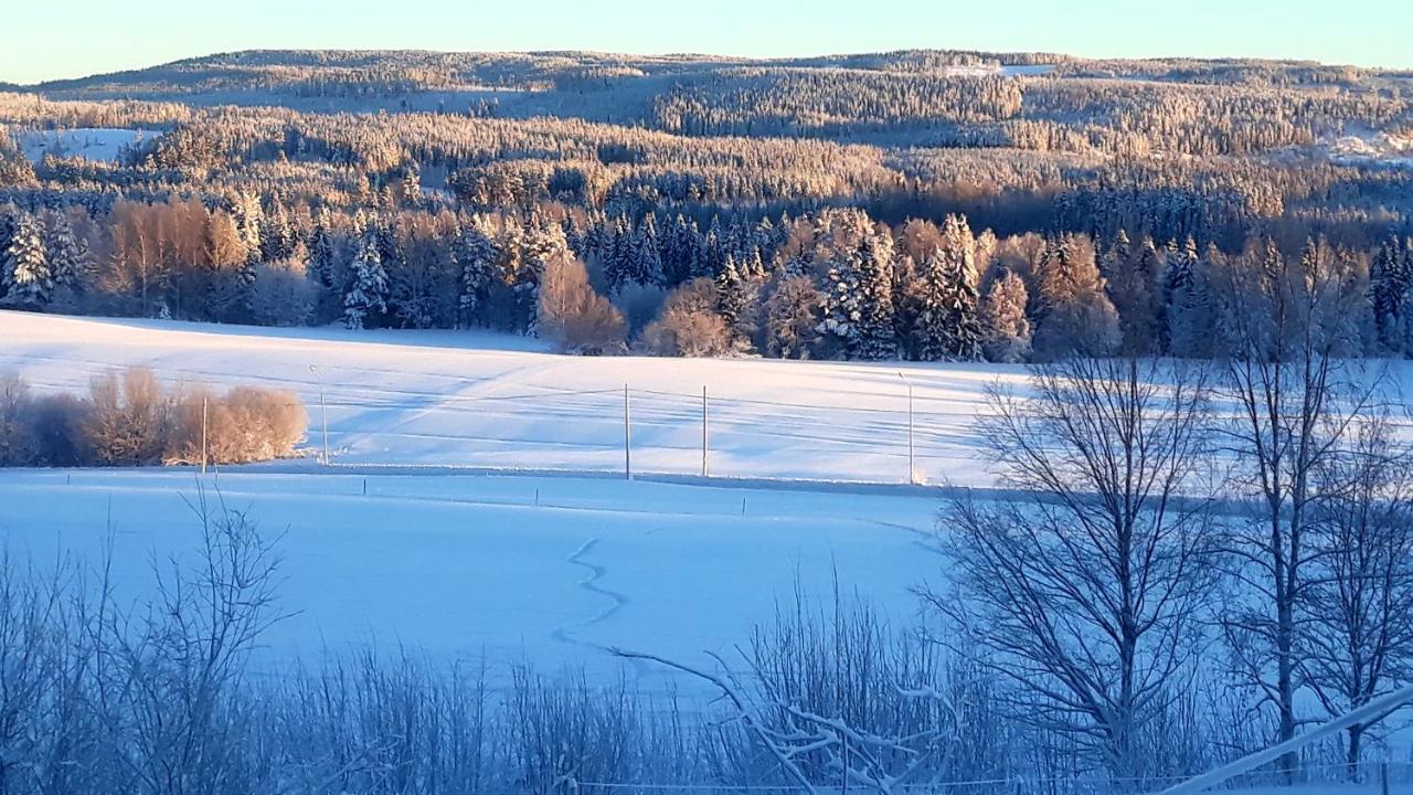 Cozy Stuga - Mountain View Ramsele المظهر الخارجي الصورة