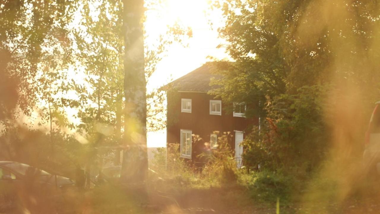 Cozy Stuga - Mountain View Ramsele المظهر الخارجي الصورة
